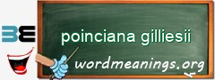 WordMeaning blackboard for poinciana gilliesii